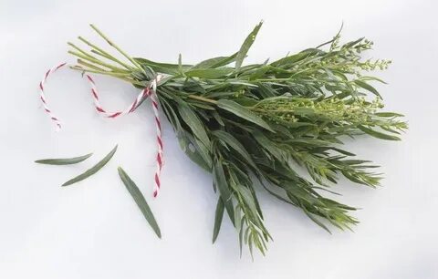 تصویر 1 از فروش آنلاین سبزی ترخون خشک + قیمت دقیق روز